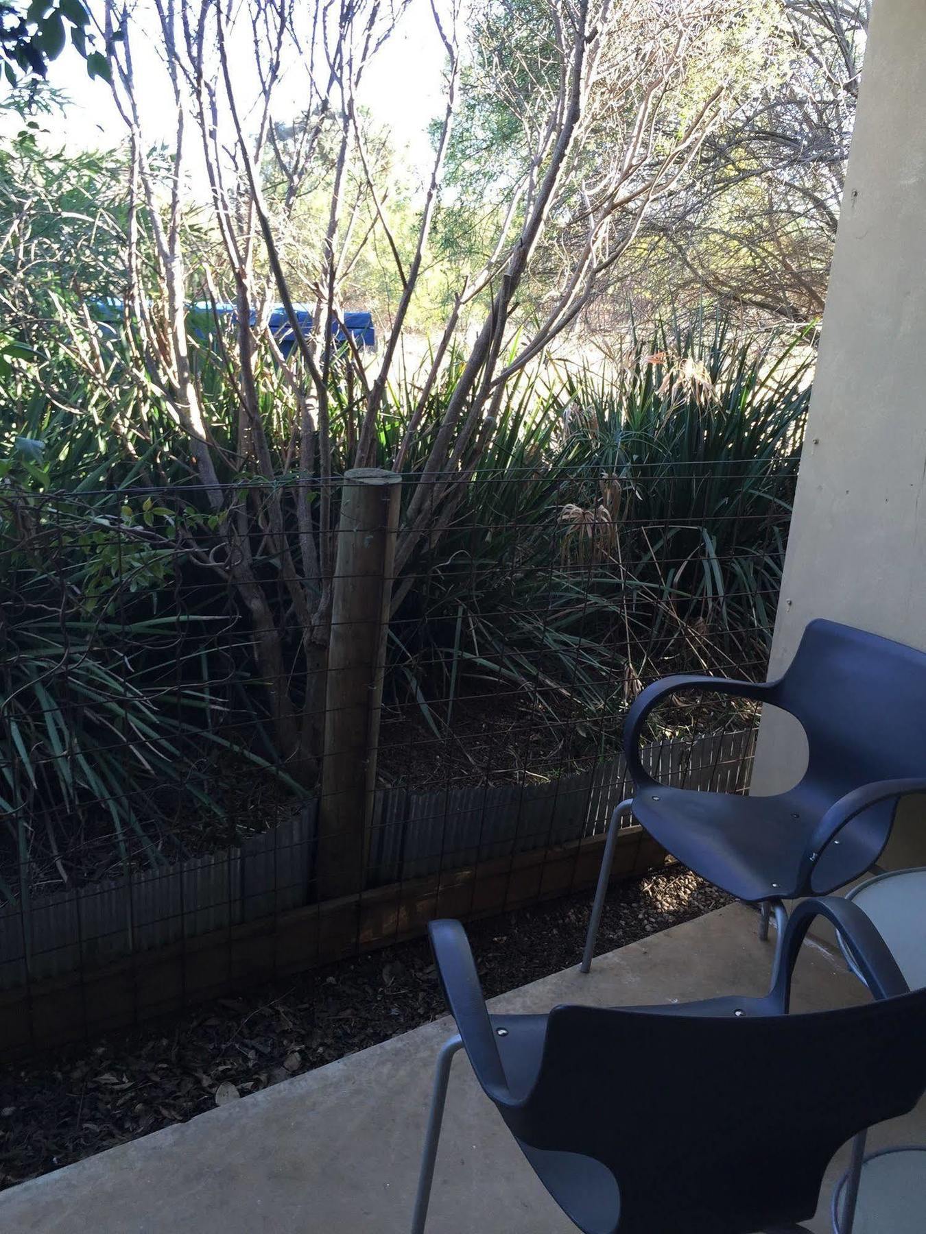 The Albion Motel Castlemaine Exterior foto